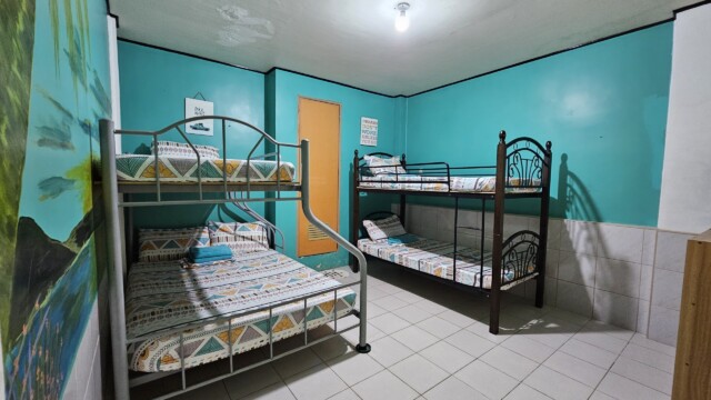 Mermaid room sleeping quarters with palm tree mural and colorful beds for family reunion venue accommodation